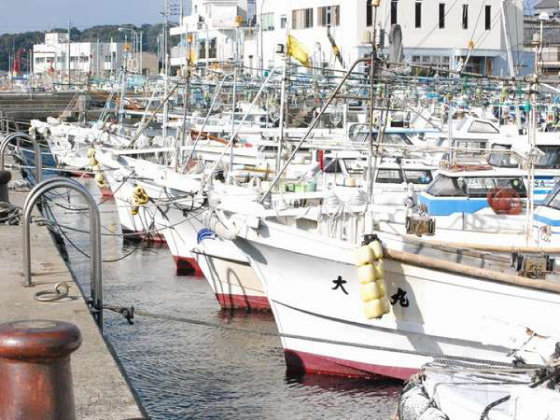 イカ釣りの漁船が並ぶ呼子港